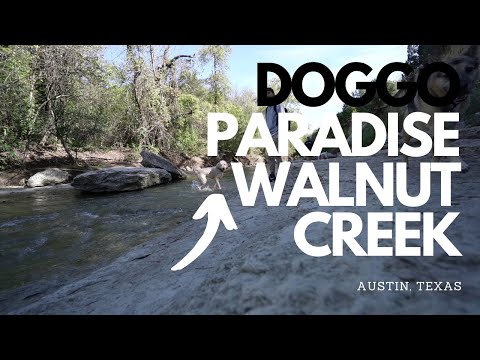 Outdoor Things To Do In Austin, TX: Walnut Creek
