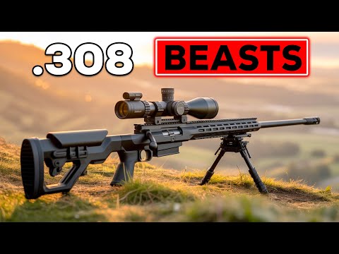 The Most Accurate .308 Rifles of 2025 (You’ll Never Guess #1!)
