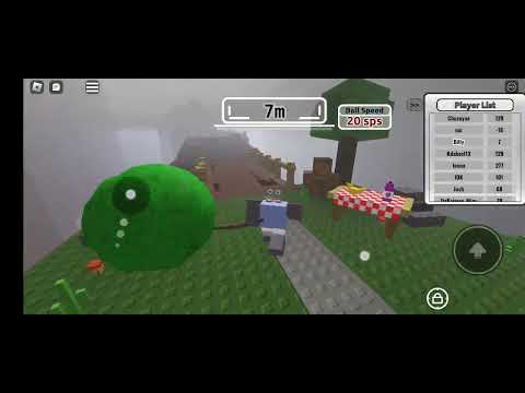 playing seraphus on roblox