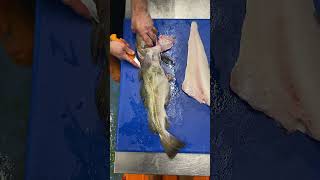 How To Fillet Cod: Beginners Tutorial