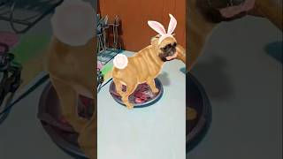 tunak tun tunna 🦀🦀💥💥🔥🔥#trending #funny #tytshorts