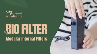 BIO FILTER – The new aquarium internal filtration by #aquatlantisaquarium #aquariuminnovation
