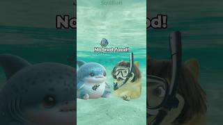 lil doge goes to the beach