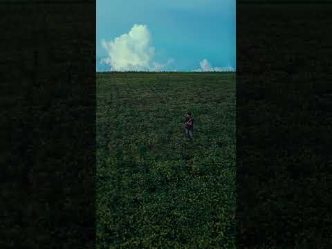 JUST FEEL THE MOMENT #cinematography #art #epic