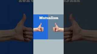 Symbiotic Relationships in 26 Seconds