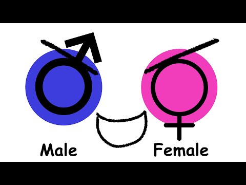 Every Gender Explained