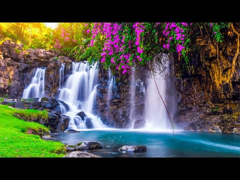 Gentle Music, Calms The Nervous System And Pleases The Soul 🌿 Healing Music For Heart And Blood #2