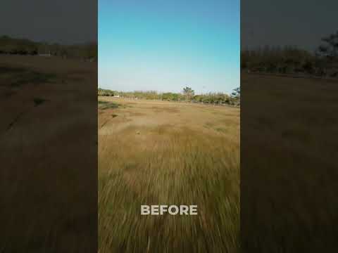 BEFORE & AFTER NAKED O3 Air Unit PAVO20 Pro #shorts