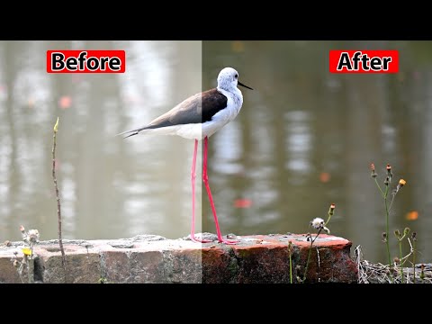Convert Low Quality Photo To High Quality Photo in Photoshop in few steps