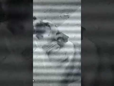 Scary Video, please watch the full video 👆