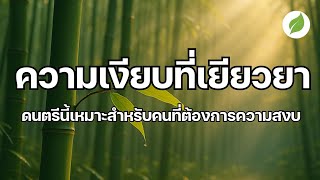 ความเงียบที่เยียวยาจิตใจ ดนตรีนี้เหมาะกับคนที่ต้องการความสงบทางจิตใจ ดนตรีผ่อนคลายสมอง