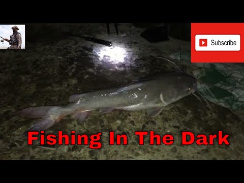 NIGHT FISHING Suriname