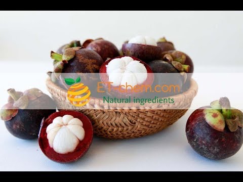 Mangosteen husk dry extracts, Garcinia mangostana, Mangostin,benefits, production 2018