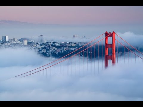 Fog by Grant Singer