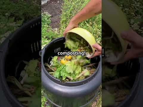 Eco Hacks: Transform Your Life with Green Living!