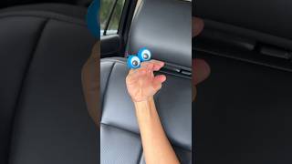 PUPPIES CAR RIDE