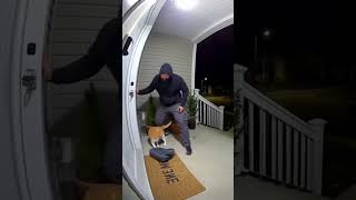 Unbelievable Cat Fight with Thief! Real-Life Action Scene!#Shorts#YouTubeShorts#ViralShorts#Funny