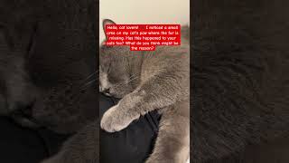 So sad 😞 #catproblems #cat #catlovers