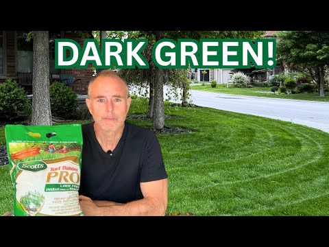 Scott’s Fertilizer This Made My Lawn Go Crazy Green! Scott's Turf Builder Pro - Scotts Step3