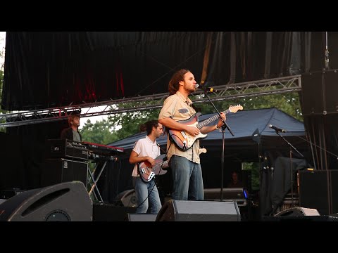 The Banyans - Mister Sound / Festival au fil du Son 2014