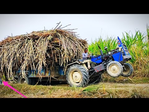 स्वराज 744 FE एक सौ 70 कुंतल गन्ना लेकर चढ़ता हुआ मिट्टी में फंसा दो ट्रैक्टर लगाकर  खींचा