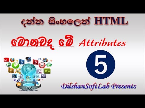 5.What Are The Attributes in HTML