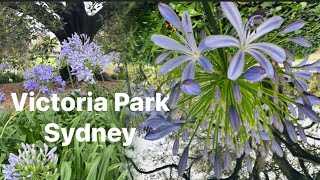 #Victoria Park SYD#travel#sydneylocal#sydneyview#sydneywalk#sydneywalktour#park#naturelovers