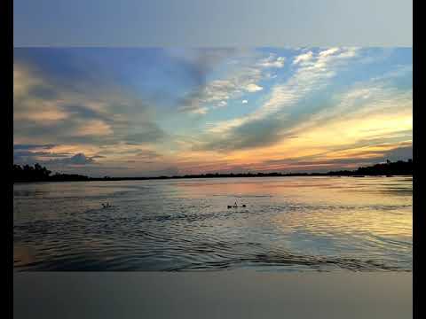 ওরে নীল ধরিয়া দেরে দে আমায় ছাড়িয়া