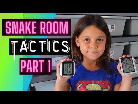 Snake Room Tactics Part 1 // Husbandry & Snake Rack (ARS Caging)