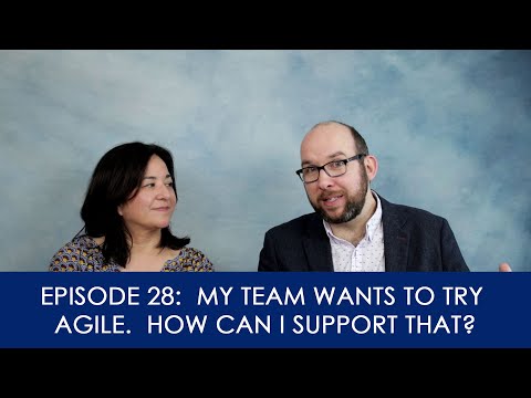 [28] My team wants to try agile. How can I support that?