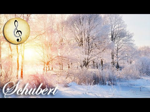 Schubert Classical Music for Studying, Concentration, Relaxation | Study Music | Piano Music