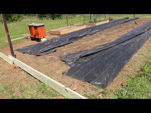 Garden Update May 2023