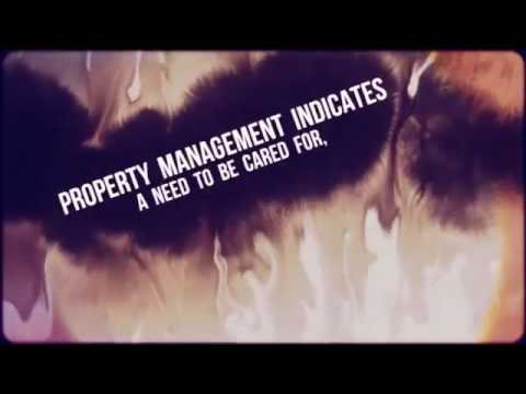 Asset Property Management