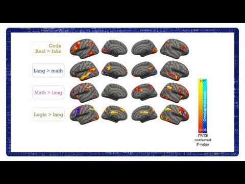 Computer code comprehension shares neural resources with formal logic and math