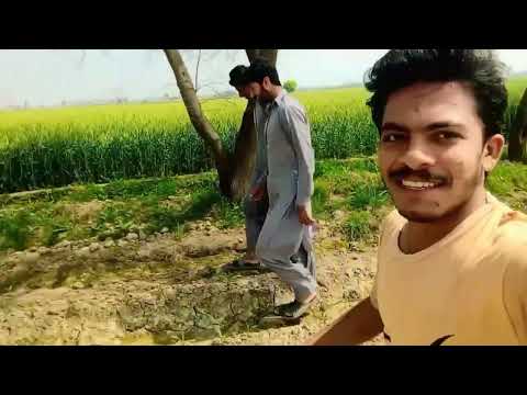 YouTube follow like please share 🤣🤣🚐🛻🚗🚗🛻🚗🛻🚐🚚🚛🚜🚒🚙🏍️