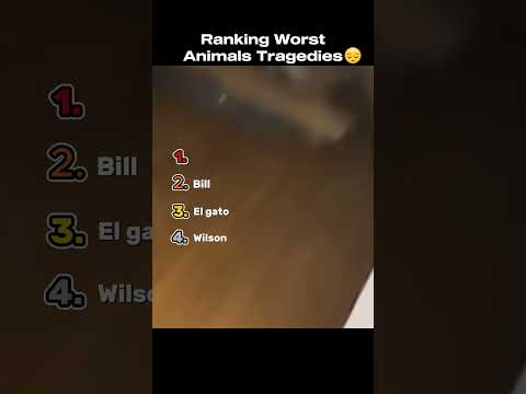 Ranking The Worst Animals Tragedies