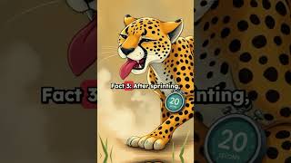 3 Unknown Cheetah Facts You’ve Never Heard! 🐆 #cheetah  #factimals #facts #animallife #bigcats
