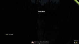 Rust no hit box hack