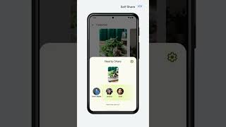 Get more done and have fun with new Android features