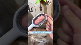 Pet Hair Removal Brush #cat #petcareservices #petcare #pets #petindustry #animals #petcareprovider