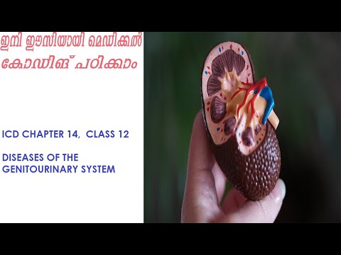 ICD-10-CM chapter 14, diseases of the genitourinary system