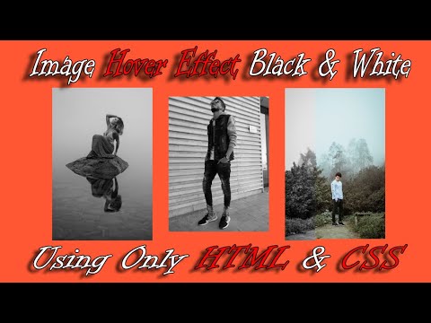 Image Hover Effect Black & White Using HTML & CSS | تأثير أبيض وأسود على الصورة بالهوفر