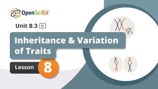 Unit B.3 Lesson 8 Planning Video | OpenSciEd On-Demand Resources