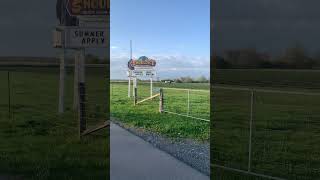 Summer job opportunities at shouldice farm Ottawa #summerjob #summer #job #ottawa #canada