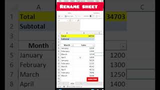 rename worksheet #exceltips #excel #newexcelexceltricks