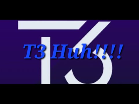 T3