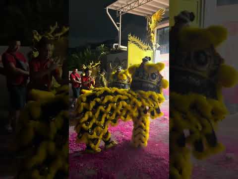 Beautiful Lion Dance