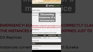 Microservices and service discovery #javadevelopment #programming #springboot #microservice