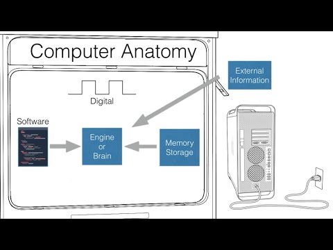 ANATOMY OF COMPUTER