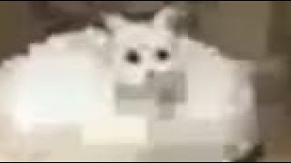memes for brain nourishment